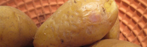Gepofte aardappelen Römertopf klaar